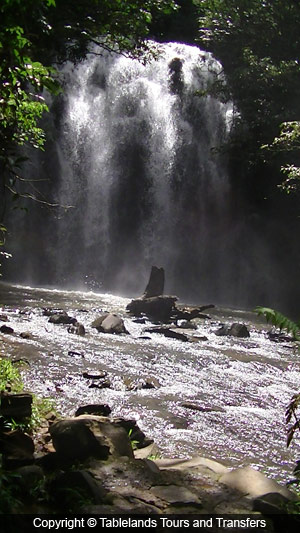 Tablelands Tours and Transfers Rock Pool