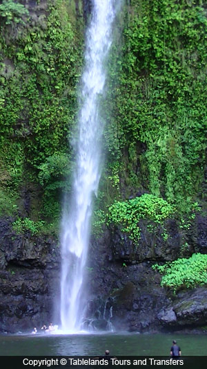 Tablelands Tours and Transfers Rock Pool