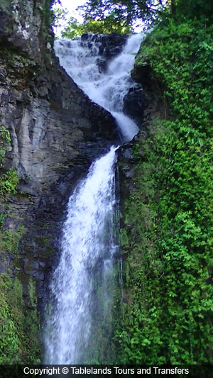Tablelands Tours and Transfers Rock Pool