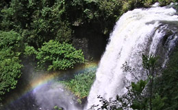 Waterfall Tour